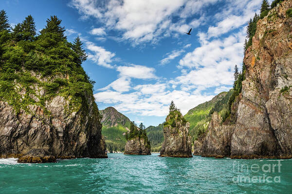 Porcupine Art Print featuring the photograph Porcupine bay in Kenai Fjords National Park, Alaska by Lyl Dil Creations