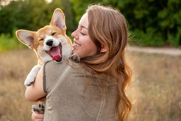 Pets Art Print featuring the photograph Portrait: young woman with laughing corgi puppy, nature background by Fotografixx