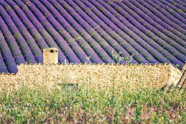 Provence Art Print featuring the photograph Provence Vibes by Manjik Pictures