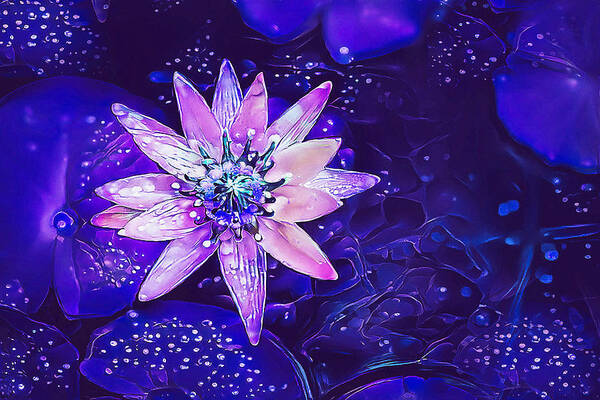 Purple Art Print featuring the photograph Purple Flower Art by Debra Kewley