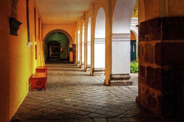 Photography Art Print featuring the digital art Quito Walkway by Terry Davis
