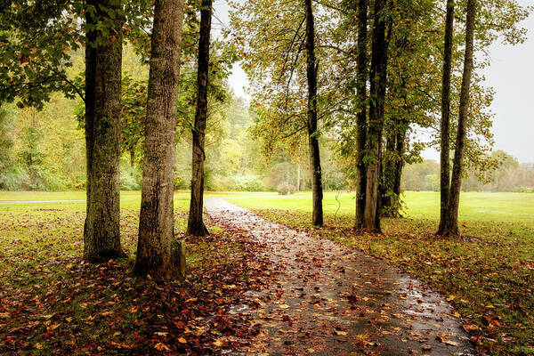 Trail Art Print featuring the photograph Rainy Morning Walk by Debra and Dave Vanderlaan