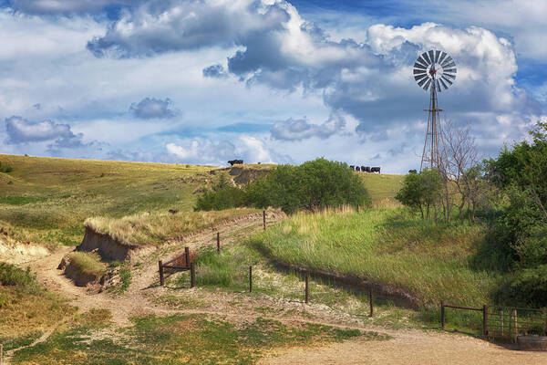 Nebraska Sandhills Art Print featuring the photograph Ranching in the Sandhills by Susan Rissi Tregoning