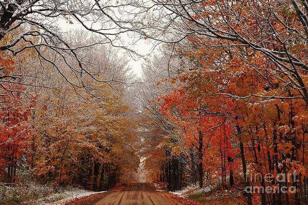 Red Art Print featuring the photograph Winter is Coming by Terri Gostola