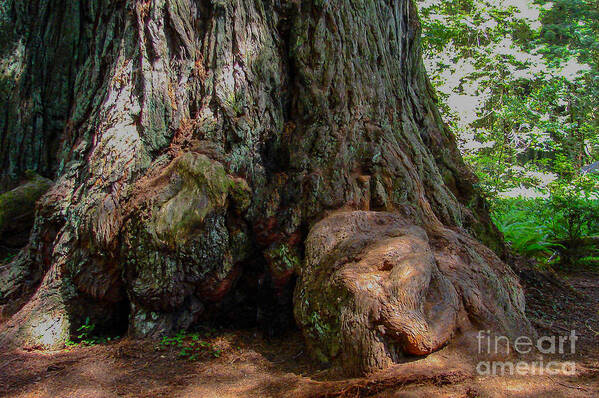 Redwood In Sequoia National Forest Art Print featuring the digital art Redwood in Sequoia National Forest by Tammy Keyes