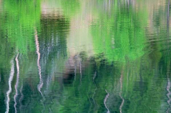 Water Art Print featuring the photograph Reflect by Donald J Gray