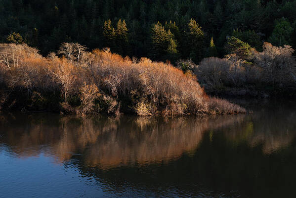 Russian River Art Print featuring the photograph Quiet Moments in Winter by Shelby Erickson