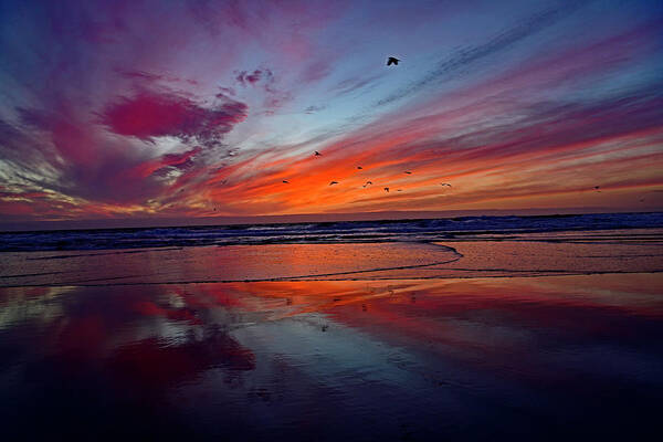 Sunset Art Print featuring the photograph Reflection on Sand - A Fire in the Sky by Amazing Action Photo Video