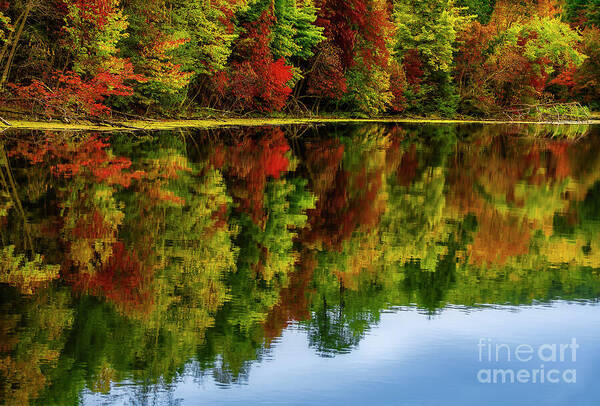 Reflection Art Print featuring the photograph Reflections at Bays Mountain by Shelia Hunt