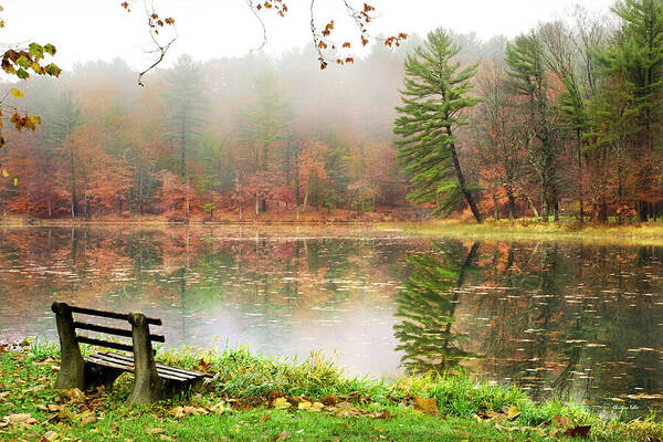 Sunrise Art Print featuring the photograph Relaxing Autumn Beauty Landscape by Christina Rollo
