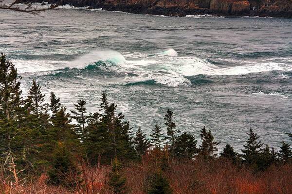 Boars Head Lighthouse The Bay Of Fundy Storm Gale Sea Ocean Waves Rocks Windy Waves Rough Petit Passage Ferry Art Print featuring the photograph Rip Tide by David Matthews