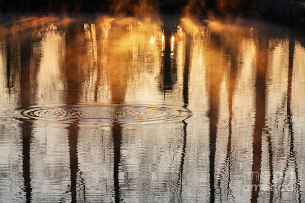 Water Art Print featuring the photograph Ripples Rays of Light and Reflections by Tim Gainey