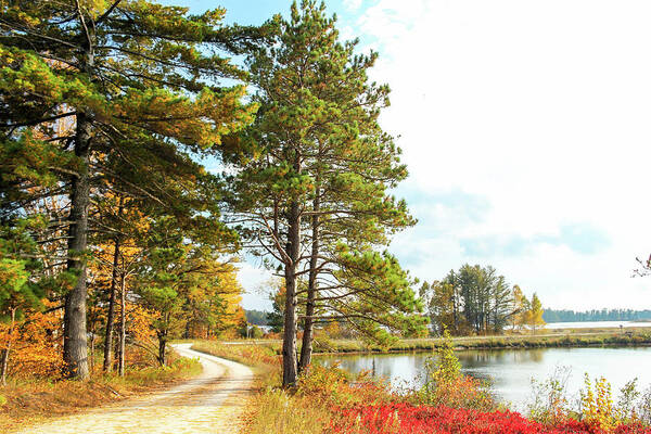 Seney National Wildlife Refuge Art Print featuring the photograph Road Through the Wildlife Refuge by Robert Carter