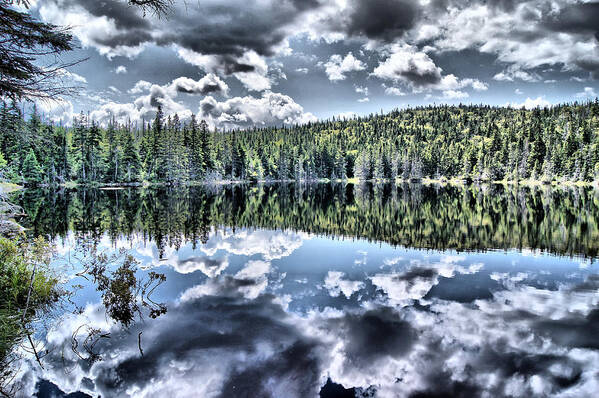 Lake Art Print featuring the photograph Rock Pond Reflections by Russel Considine