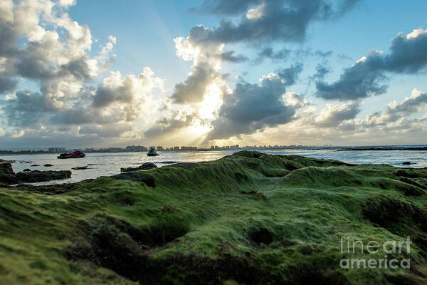 Piñones Art Print featuring the photograph Rocks Covered in Moss at Sunset, Pinones, Puerto Rico by Beachtown Views