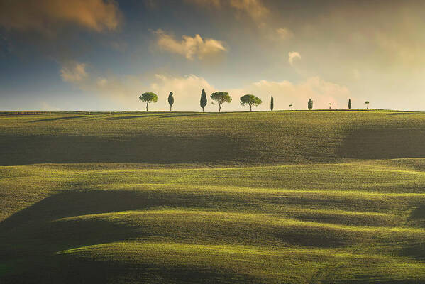Tree Art Print featuring the photograph Rolling hills, cypress and pine trees. Tuscany, Italy by Stefano Orazzini