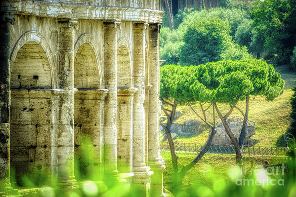 Arches Colosseum Art Print featuring the photograph Rome and Italy Landmark - Colosseum Closeup Windows by Stefano Senise