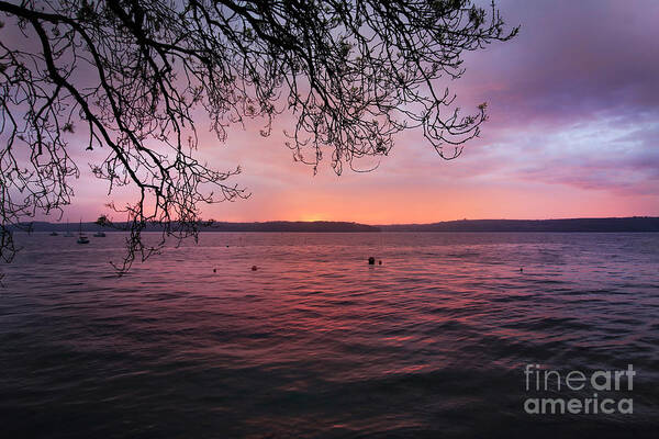 Mylor Art Print featuring the photograph Roseland Dawn by Terri Waters