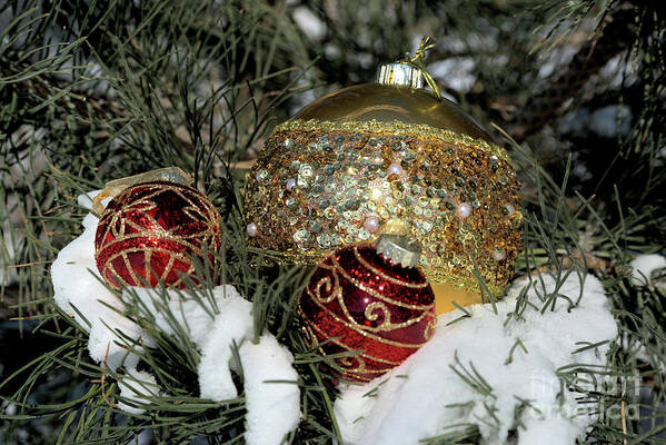 Fextive Art Print featuring the photograph Round Holiday Ornaments Outdoors by Kae Cheatham