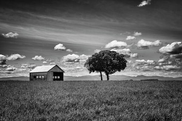 Barns Art Print featuring the photograph Rural Images by Steven Clark