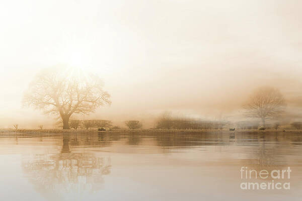 Winter Art Print featuring the photograph Rural misty Norfolk landscape with water reflections by Simon Bratt