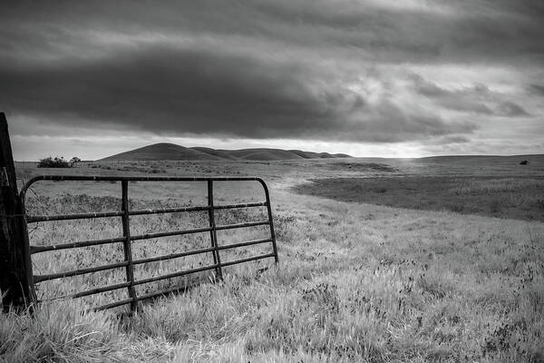 Rush Ranch Art Print featuring the photograph Rush Ranch, 2022, an open gate in the pasture by Alessandra Chaves