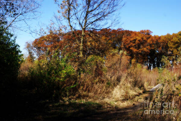 Landscape Photography Art Print featuring the photograph Rustic Autumn - Painterly by Frank J Casella