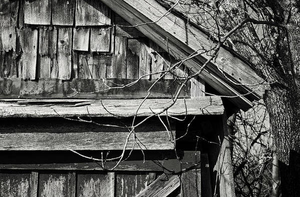 Barn Art Print featuring the photograph Rustic Old Shed - Gould City, Michigan USA - by Edward Shotwell