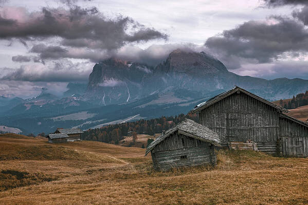 Dolomites Art Print featuring the photograph Sassolungo Mount - Alpe di Siusi by Elias Pentikis