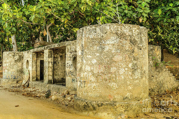 Timor-leste Art Print featuring the photograph Scene from Timor-Leste 23 by Werner Padarin