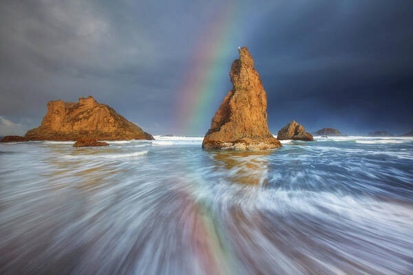 Oregon Art Print featuring the photograph Seagull Storm Watch by Darren White
