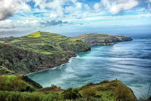 Azores Art Print featuring the photograph Seaside Delights by Phil Marty