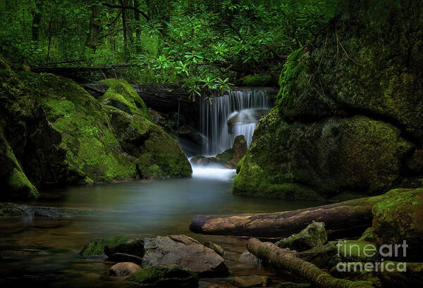 Waterfall Art Print featuring the photograph Secluded Waterfall by Shelia Hunt