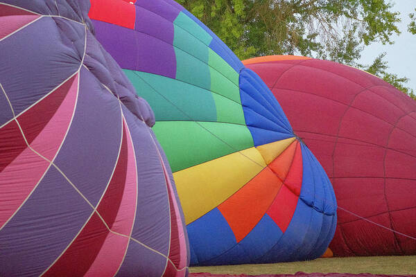 Hot Air Balloons Art Print featuring the photograph Semi Inflated Hot Air Balloons by Matthew Irvin