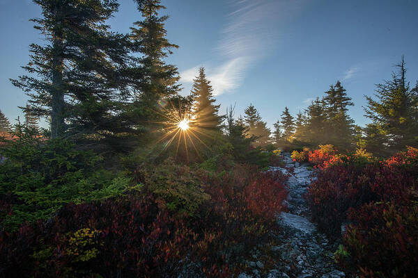 September Art Print featuring the photograph September morning at Dolly Sods by Jaki Miller