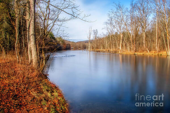 Serenity Art Print featuring the photograph Serenity on the River by Shelia Hunt