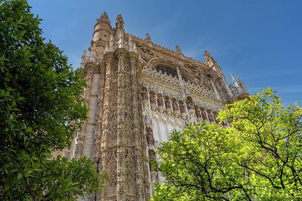 Spain Art Print featuring the photograph Seville Cathedral by Betty Eich
