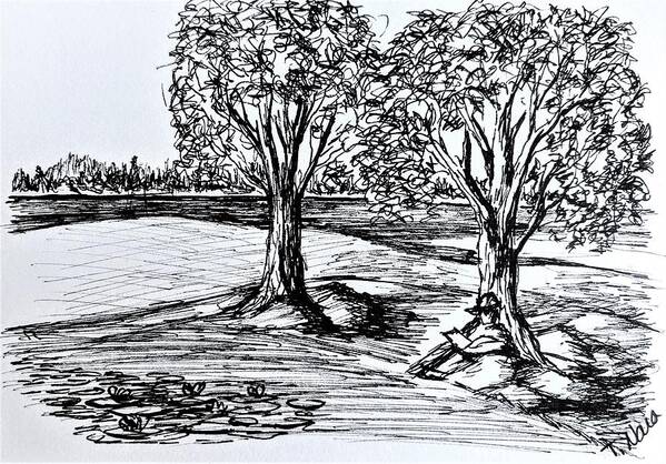 Black And White Art Print featuring the drawing Shade Trees by Tammy Nara
