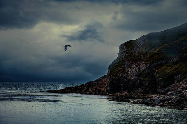 Lulworth Cove Art Print featuring the photograph Shelter From The Storm by Chris Lord