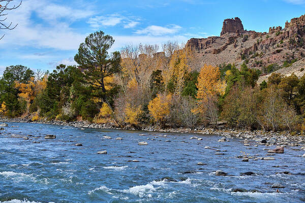 River Art Print featuring the photograph Shoshone River by Paul Freidlund