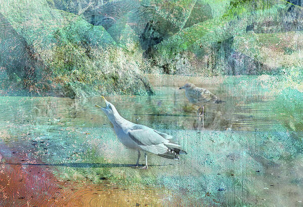 Seagull Art Print featuring the photograph Shouting Seagull by Cate Franklyn