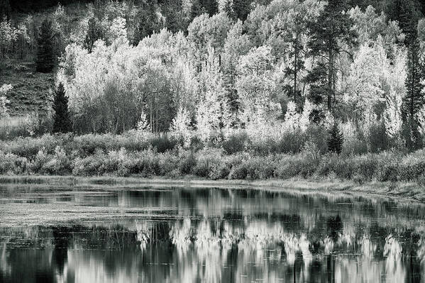 Gtnp Art Print featuring the photograph Silver reflections by Doug Wittrock