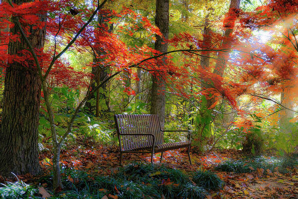 Bench Art Print featuring the photograph Sit With Me by Cheri Freeman