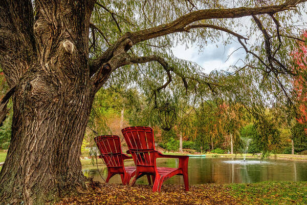 Andrews Art Print featuring the photograph Sitting on the Edge of the Pond by Debra and Dave Vanderlaan