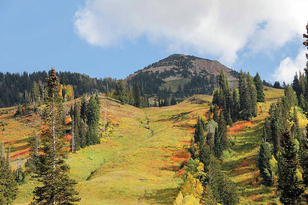 Autumn Art Print featuring the photograph Ski Slope in Autumn by Robert Carter