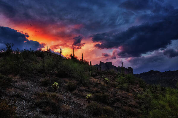 American Southwest Art Print featuring the photograph Sky Candy by Rick Furmanek