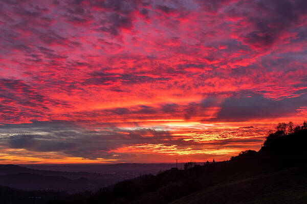 Sunset Art Print featuring the photograph Sky Fire by Shelby Erickson