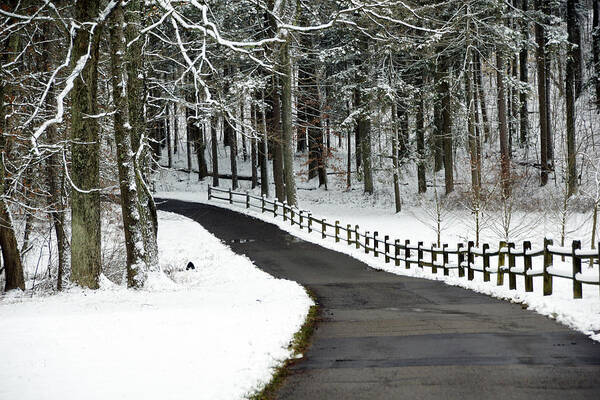 Snowy Road Art Print featuring the photograph Snowy Fence by Mike Murdock