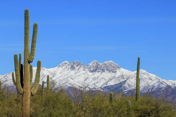 2021 Art Print featuring the photograph Snowy Four Peaks by Dawn Richards