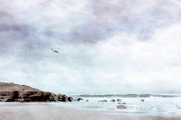 Flying Seagull Art Print featuring the painting Soaring the Summer Sky by Susan Maxwell Schmidt